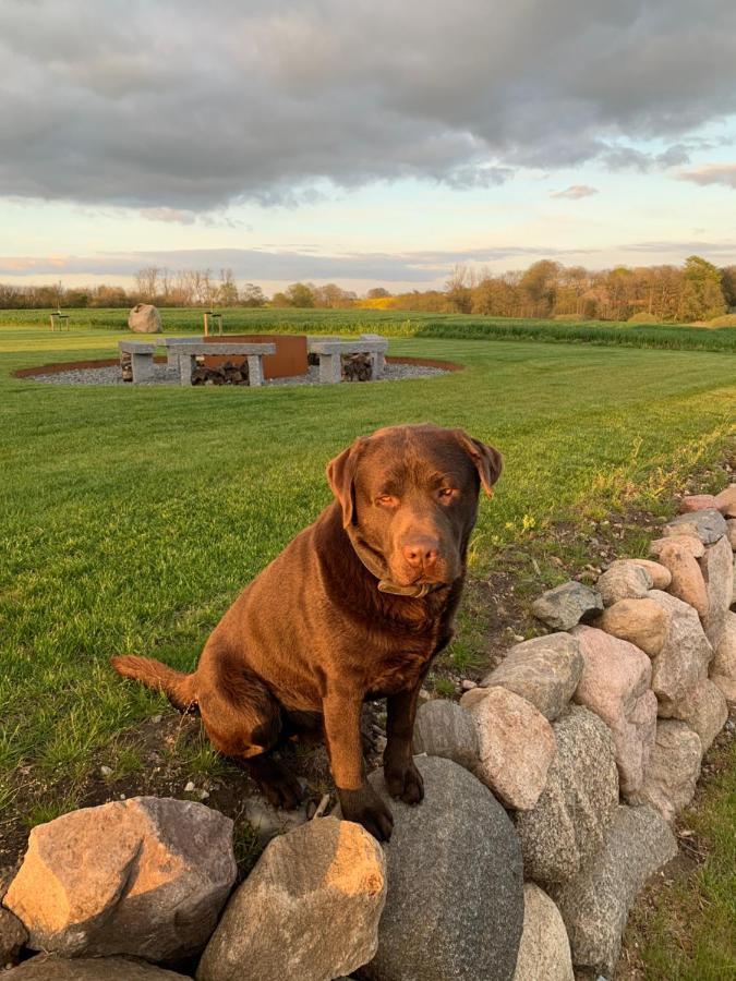 Farm stay Meldbjerg Stouby